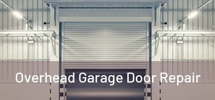  Overhead Garage Door Repair 
